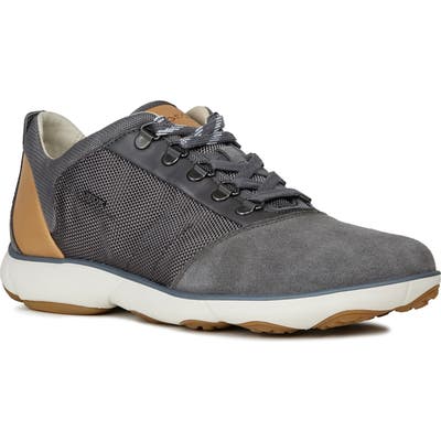 Geox Nebula 56 Sneaker, Grey