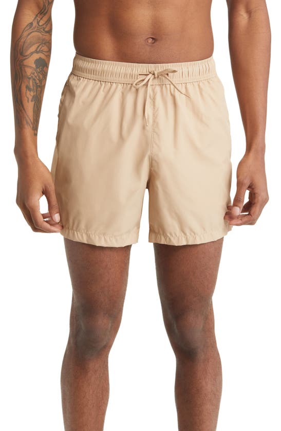 Topman Swim Trunks In Stone