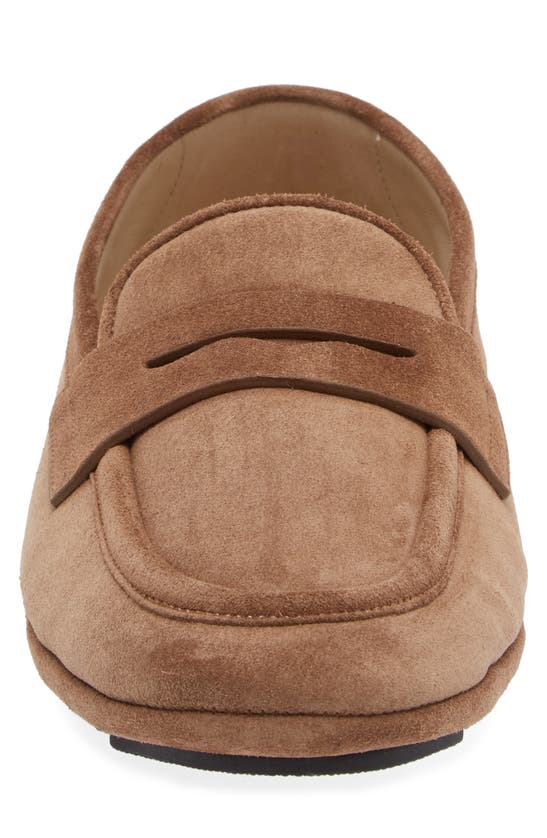 Dolce & Gabbana Brown Driver Loafers In Nocciola
