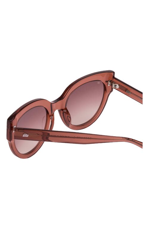 Shop Sito Shades Good Life 54mm Cat Eye Sunglasses In Desert Flower/rose Gradient