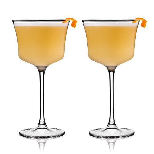Viski Raye Crystal Sour Glasses Set Of 2 In Clear