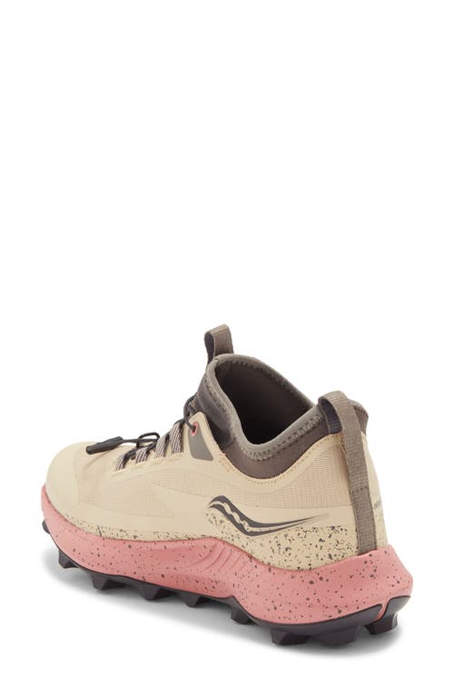 Shop Saucony Peregrine 13 Running Shoe In St Desert/umber