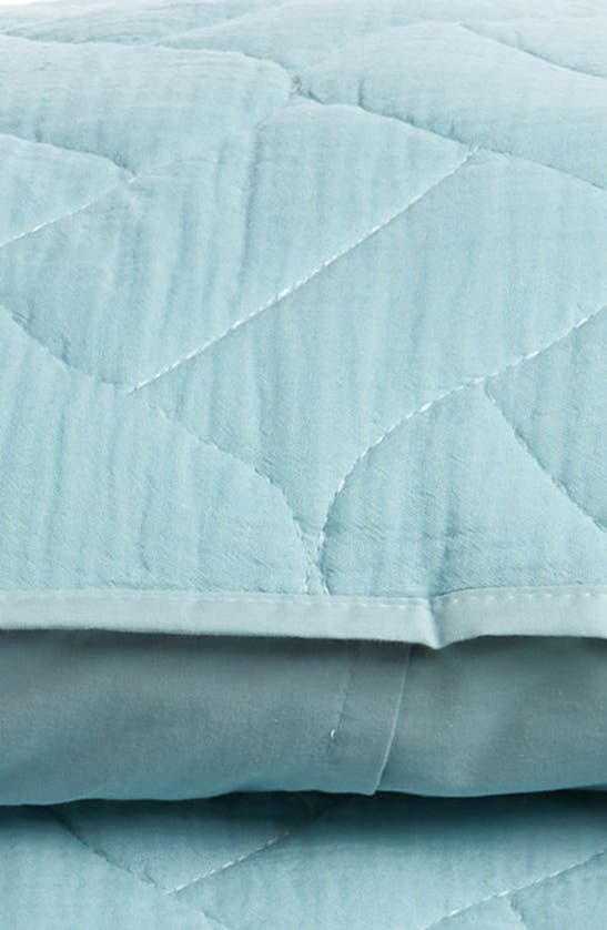 Shop Ugg ® Aileen Cotton Quilt Set In Shark