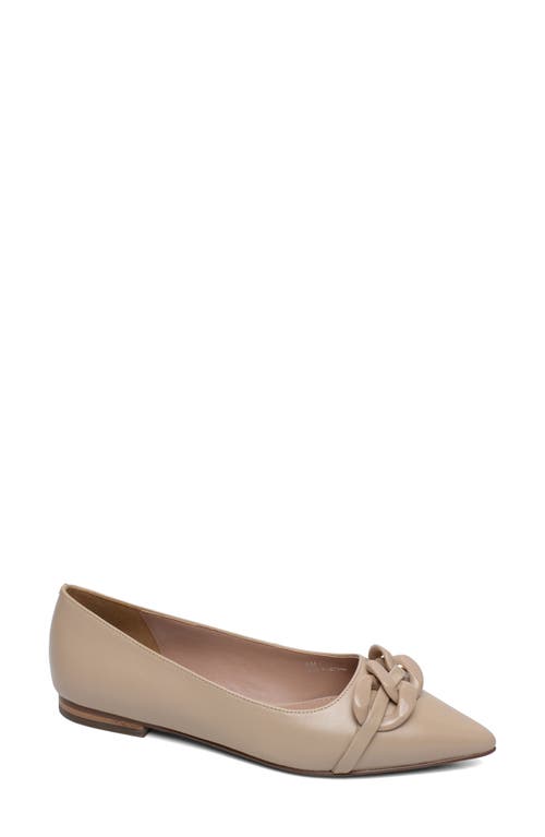 Linea Paolo Nora Pointed Toe Flat in Nude