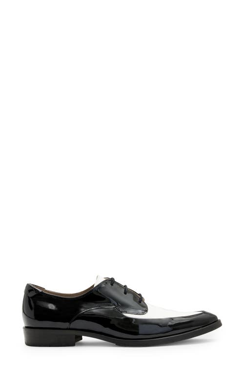 Shop Allsaints Lex Apron Toe Derby In Black/white