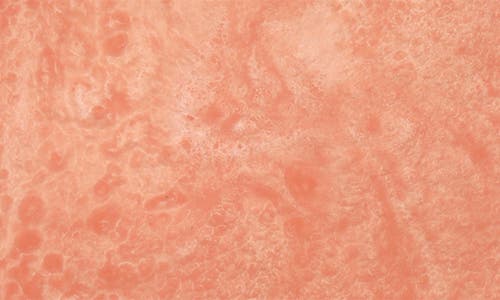 Tiramisu Resin Serving Tray In Pink