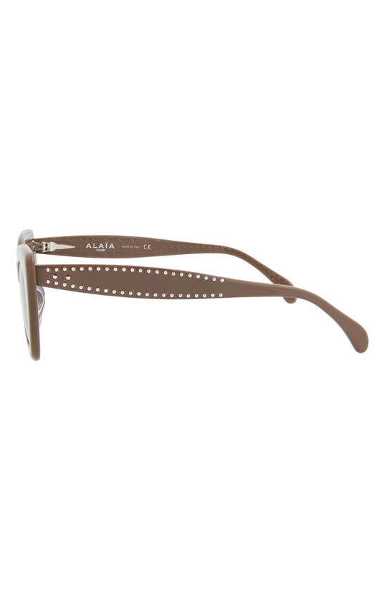 Shop Alaïa 51mm Retro Cat Eye Sunglasses In Brown Blue
