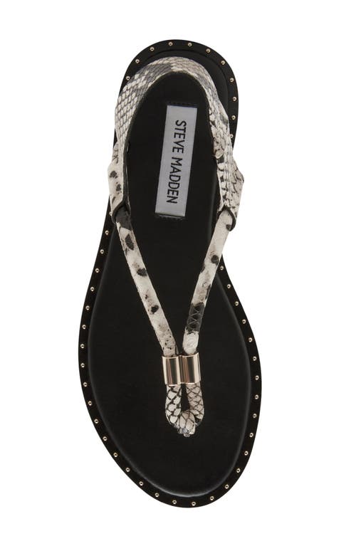 Shop Steve Madden Meduza Sandal In Snake