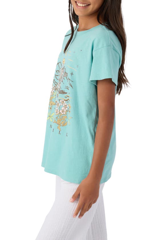 Shop O'neill Kids' Traveler Cotton Graphic T-shirt In Canton
