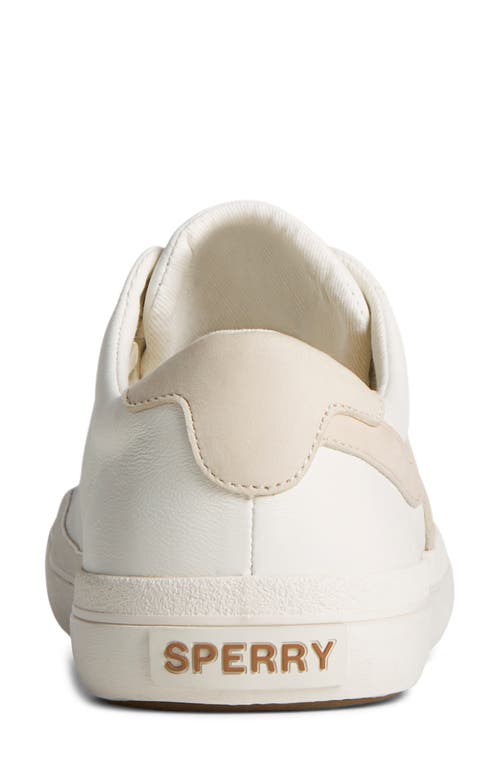 Sperry Sandy Wave Sneaker In White