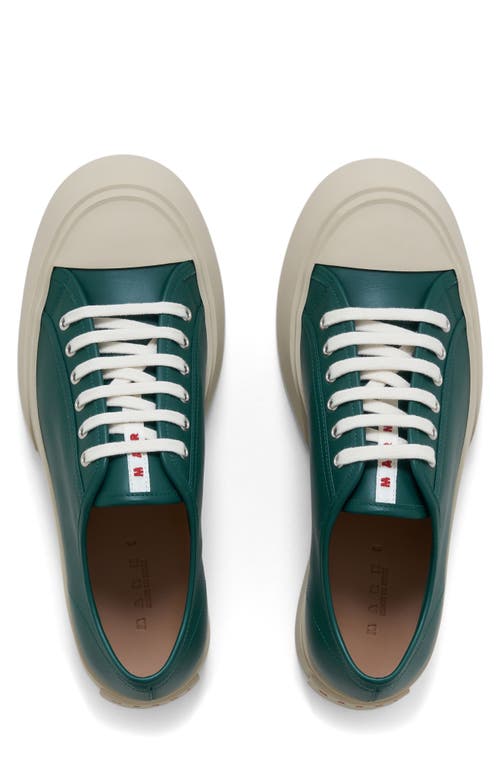 Marni Pablo Low-top Lace-up Sneaker In Forest Green