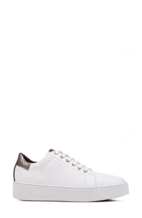 Shop Geox Skyely Low Top Sneaker In White Gold