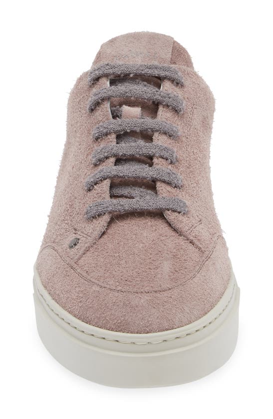 Shop Canali Brushed Suede Low Top Sneaker In Pink