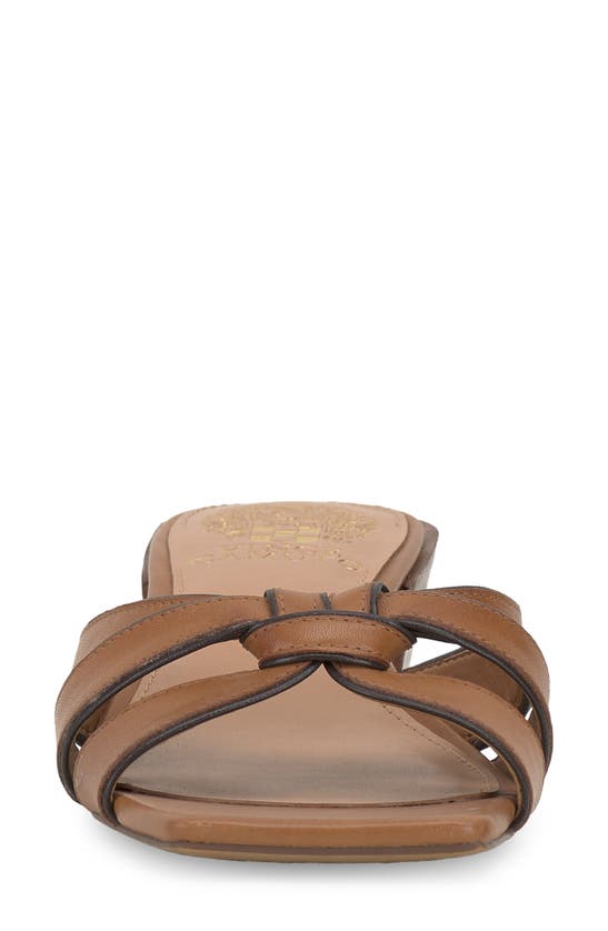 Vince Camuto Selaries Slide Sandal In Golden Walnut Root Beer