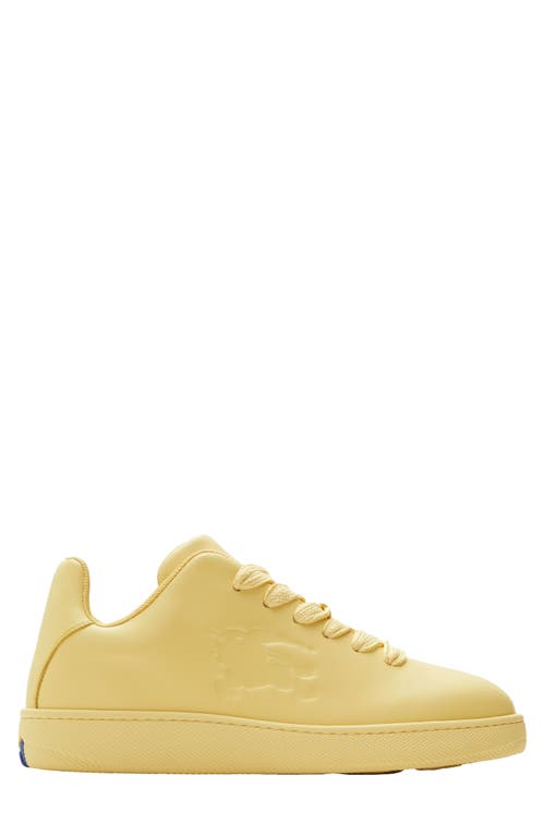 burberry Leather Box Sneaker Daffodil at Nordstrom,