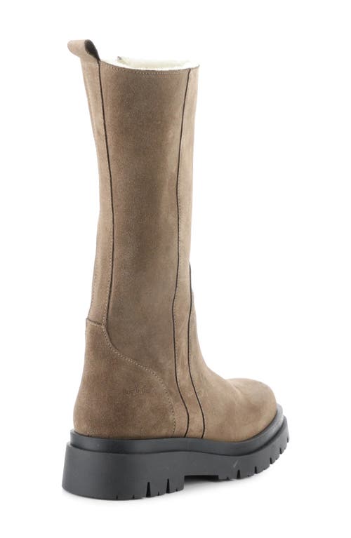 Bos. & Co. Marie Platform Boot In Taupe