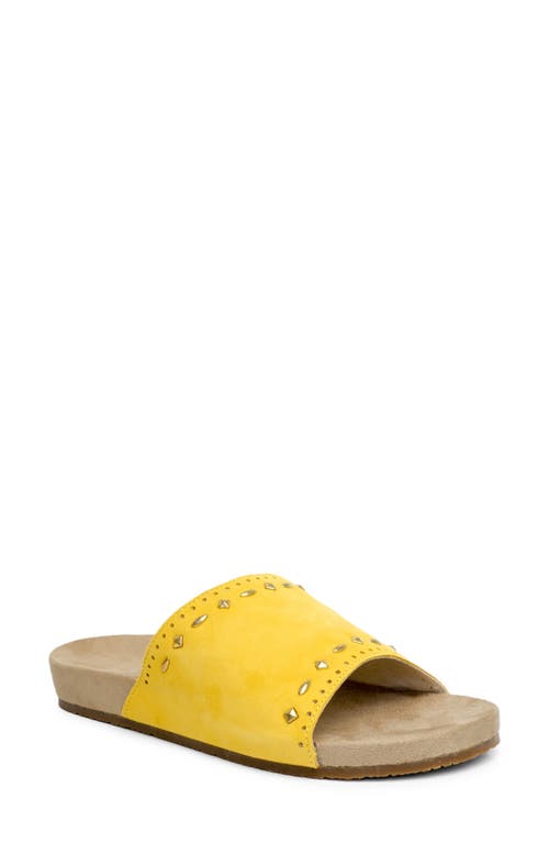 Sofia Stud Sandal in Mineral Yellow