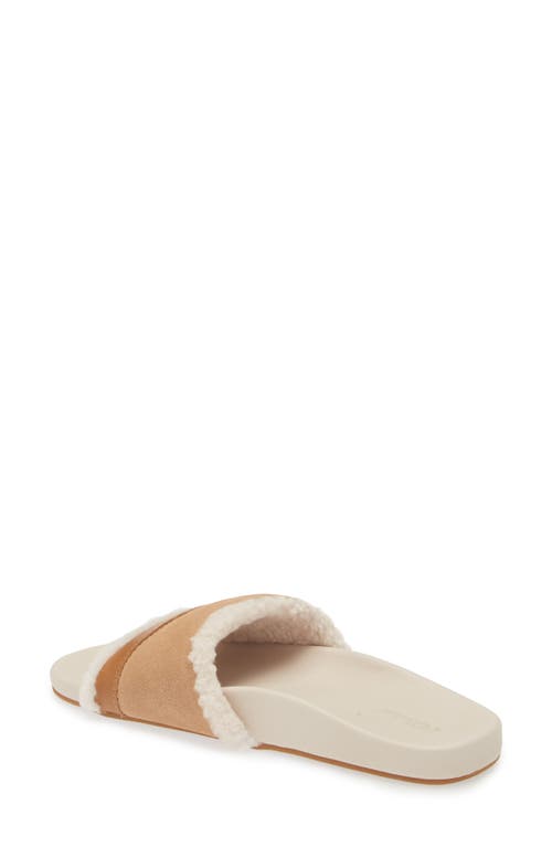 Olukai Hō‘ala Genuine Shearling Slide Sandal In Tan/puka