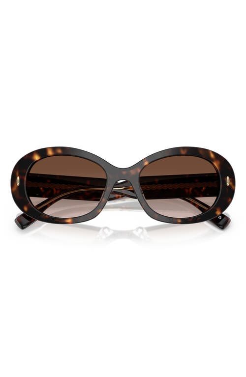 Tory Burch 53mm Gradient Oval Sunglasses In Tortoise