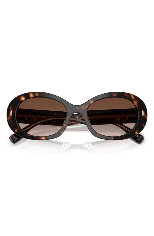 Shop Tory Burch 53mm Gradient Oval Sunglasses In Tortoise