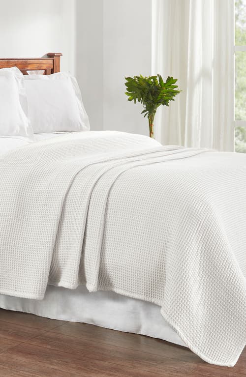 Tahari Samantha Cotton Waffle Knit Blanket In Bright White