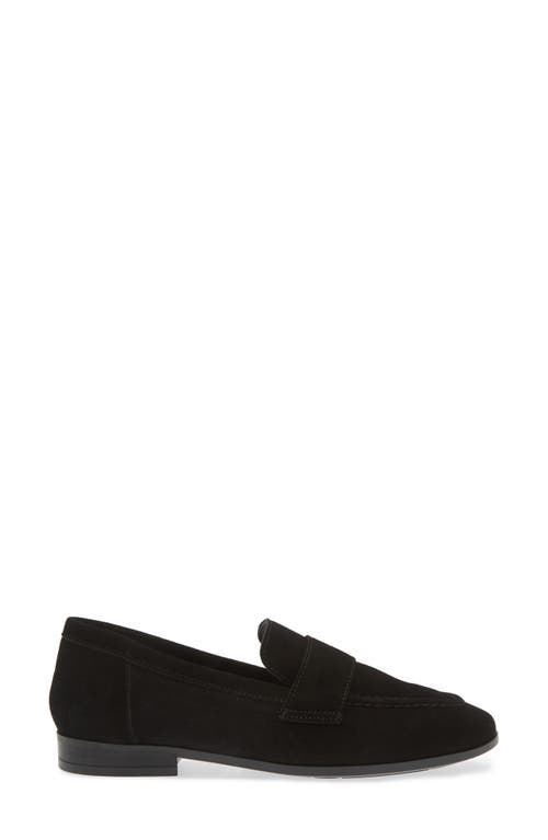 Shop Cordani Ardelle Moc Toe Loafer In Black Suede