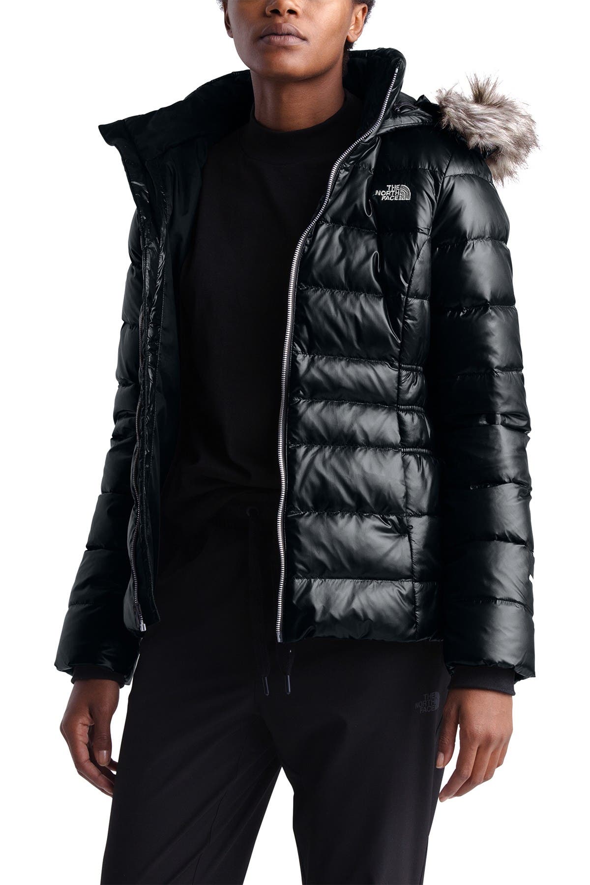 north face jacket gotham 2