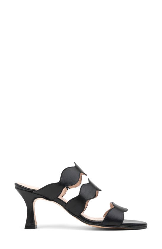 Patricia Green Sophia Slide Sandal In Black