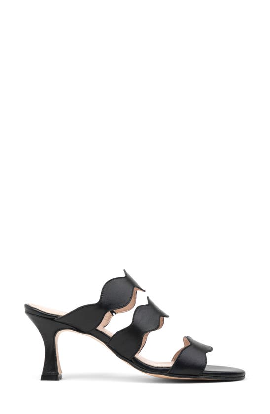 Shop Patricia Green Sophia Slide Sandal In Black