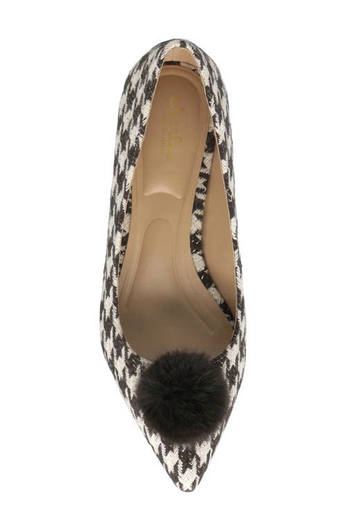 Shop Charles By Charles David Amon Pointed Toe Kitten Heel Pump In Dark Brown White