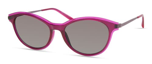 Modo 706 Sunglasses In Pink