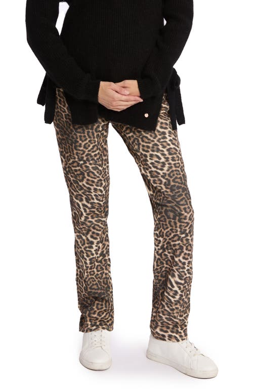 Cache Coeur Leopard Print Maternity Mom Jeans In Leopard
