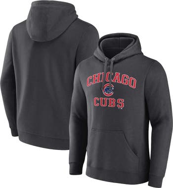 Chicago Cubs Hoodie Pet Tee, X-Small