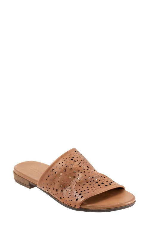 Shop Bueno Turner Perforated Slide Sandal In Dark Tan