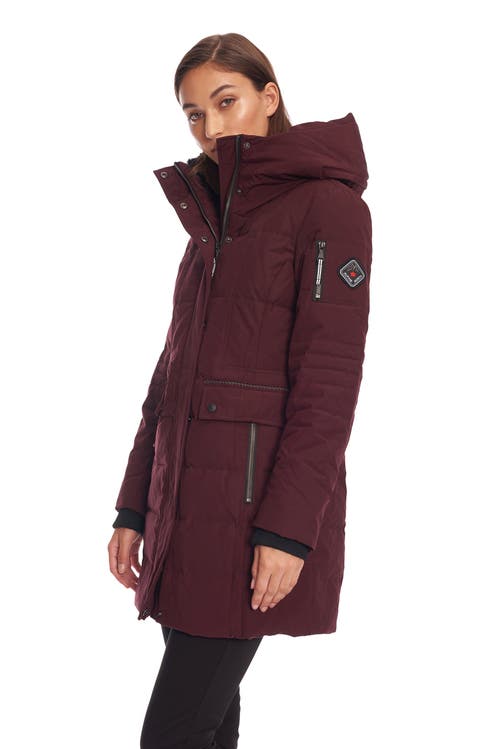 Shop Alpine North Kootney In Grape