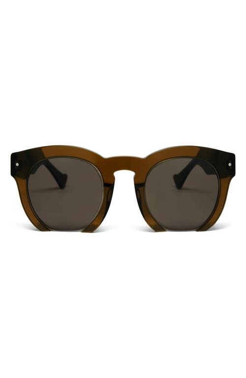 Fromone 50mm Round Sunglasses in Brown/Brown