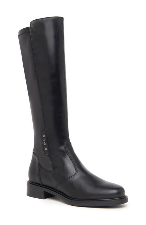 NeroGiardini Block Heel Tall Boot in Black 