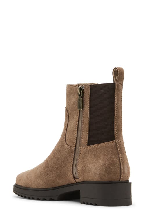 Shop Blondo Coppa Waterproof Boot In Taupe Suede