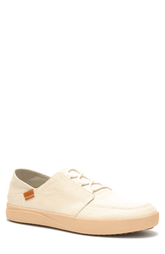 Chaco Ojai 3 eye Sneaker In Raw Natural ModeSens