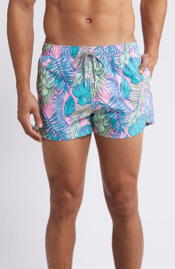 Boardies Palmtopia Shortie Swim Trunks | Nordstrom