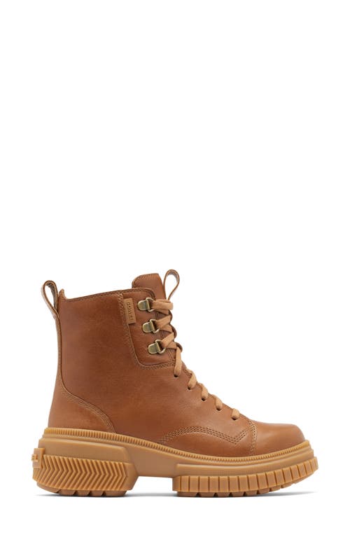 Sorel Ona Ave Lace Boots Velvet Tan/gum 2 In Velvet Tan/gum
