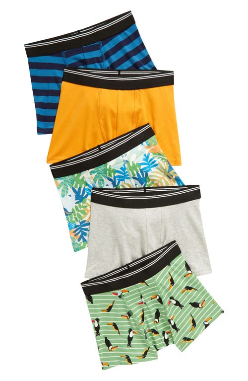 Tucker + Tate Kids' Assorted 5-Pack Trunks in Tropical Vibes Pack