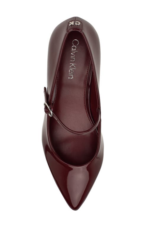 Shop Calvin Klein Leora Pointed Toe Mary Jane Pump In Burgundy