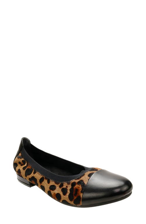 Nicole Cap Toe Flat in Black Leather/Leopard Print