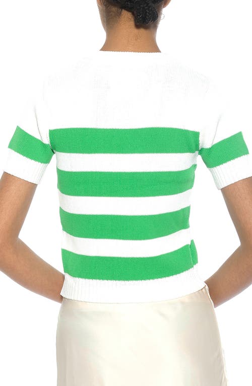 Alexia Admor Pat Stripe Short Sleeve Sweater Top In Ivory/green