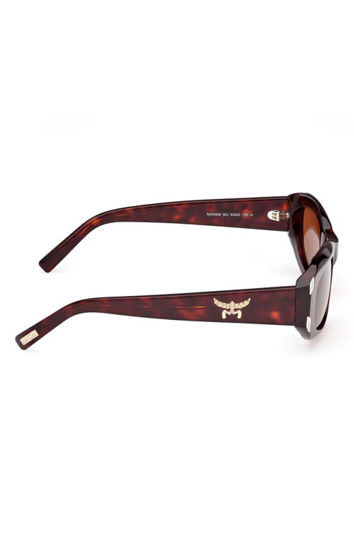 Shop Mcm 53mm Oval Sunglasses In Dark Havana/roviex