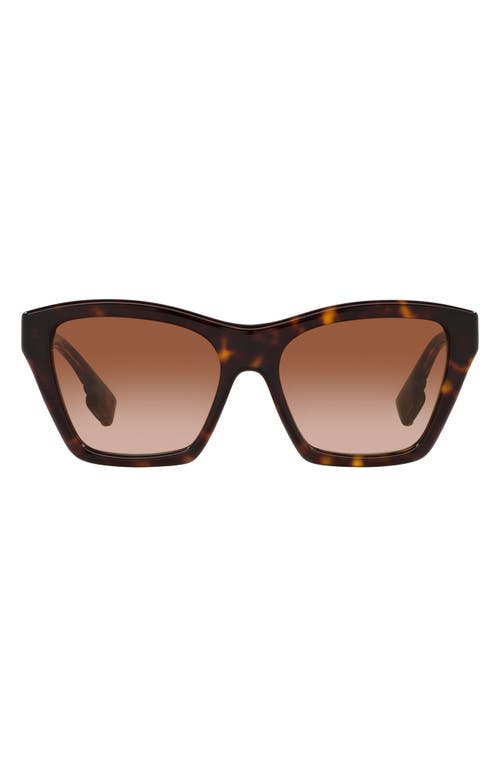 burberry Arden 54mm Gradient Square Sunglasses in Dk Havana at Nordstrom