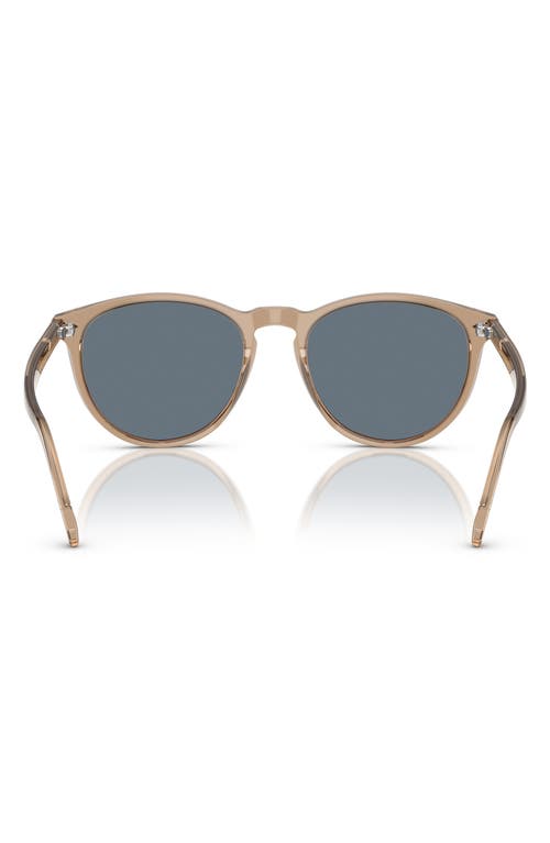 Vogue 53mm Phantos Sunglasses In Beige Polarized