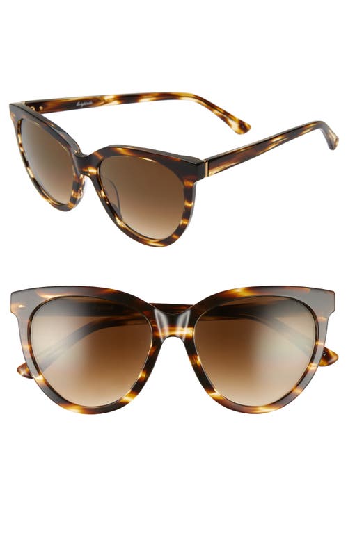 Beverly 55mm Cat Eye Sunglasses in Tortoise/Brown Gradient