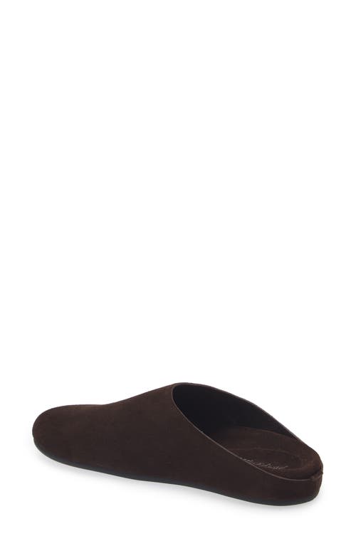 Jeffrey Campbell Content Suede Clog In Coffee Suede